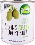 Nature's Charm jonge groene jackfruit in brine 2900 gram